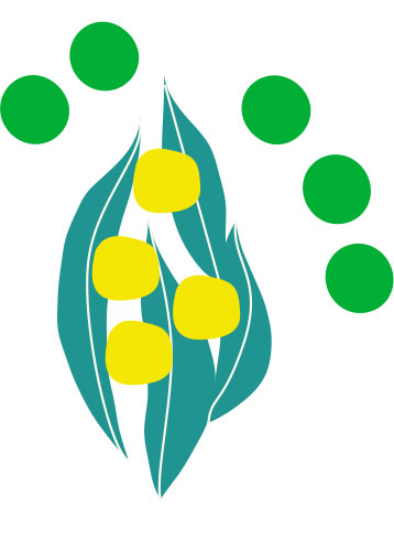 wattle-pea